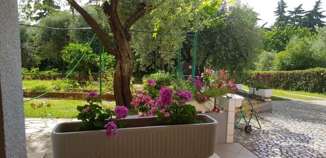 Clara 2 Appartement Poreč Buitenkant foto